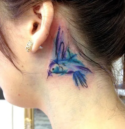 Colored Bird On Hairline