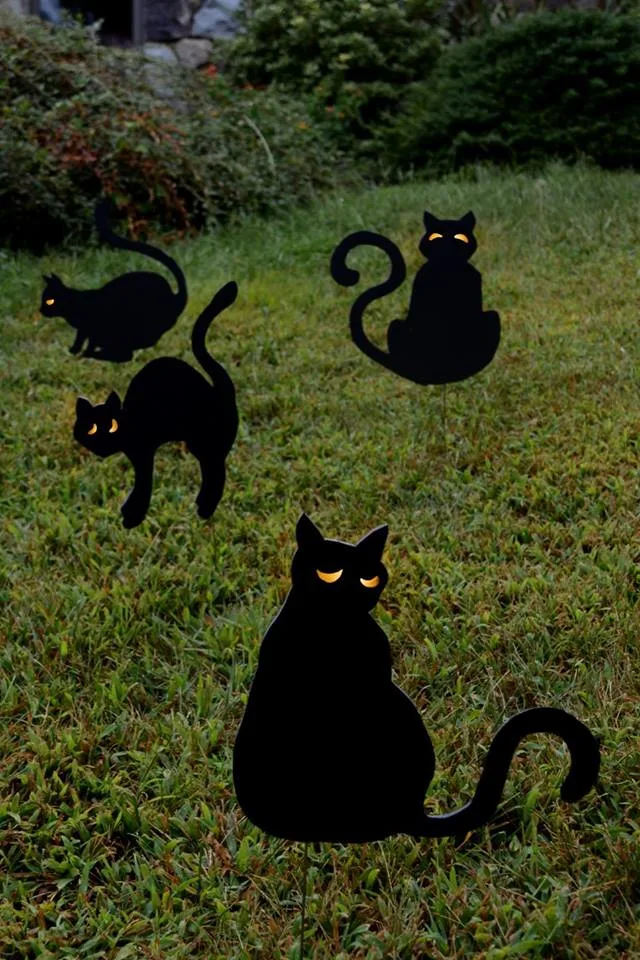 Adorably Stylish Crafted Litter Of Black Cats