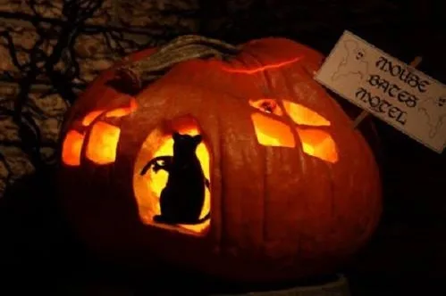 Glamorous DIY Pumpkin Mouse Hotel Idea