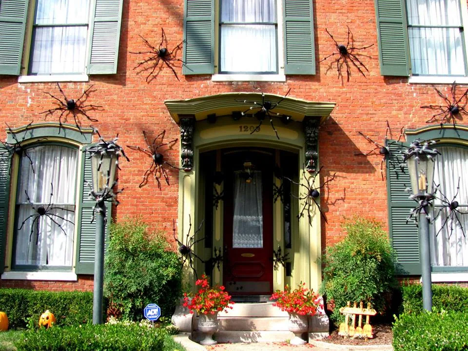 Lovely Idea To Decorate Your Home By Giant Spiders