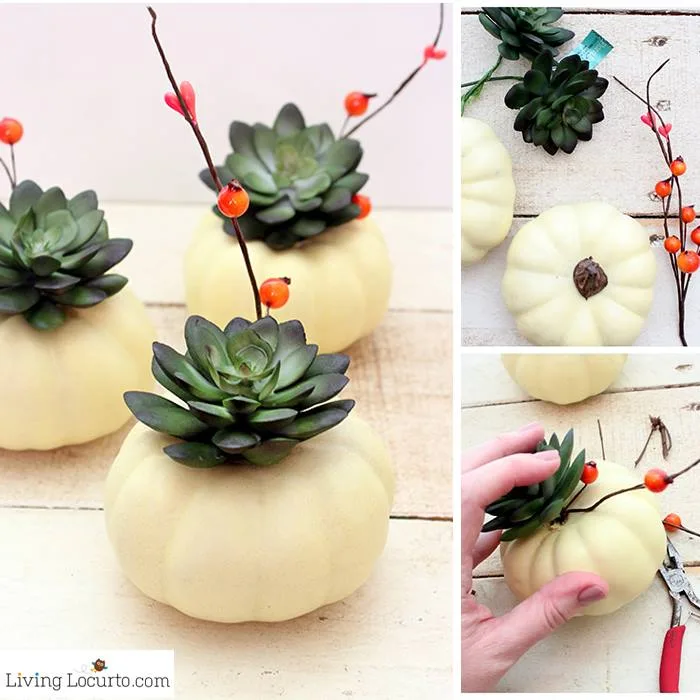 Small Pumpkin Succulent Centerpiece