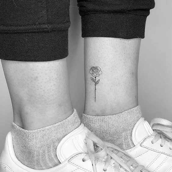 Dainty Rose.