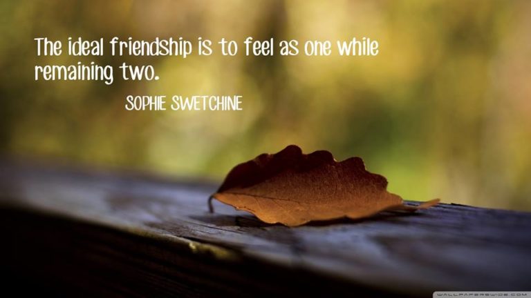 56 Friendship Quotes For Your Friend To Say That You Are His/Her True ...