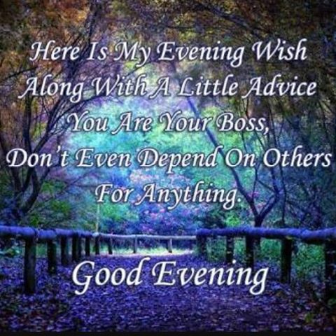 50 Lovely Good Evening Quotes and Wishes