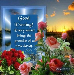 50 Lovely Good Evening Quotes and Wishes - Blurmark
