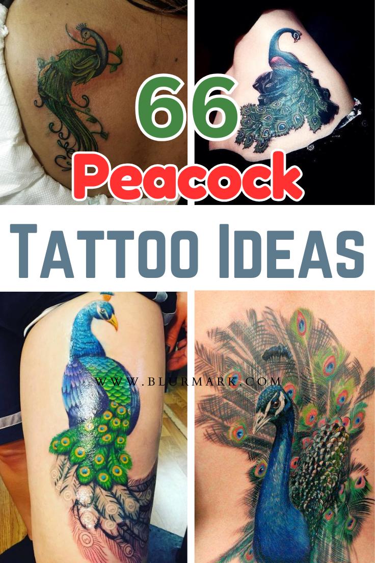 Peacock Tattoo Ideas