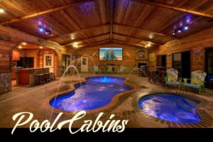 Rustic Indoor Swimming Pool Cabins