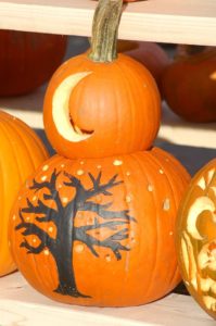 Crescent Moon Rising Over Tree Silhoutte Nice Pumpkin Carving