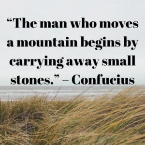 The man who moves a mountain begins by carrying away small stones.