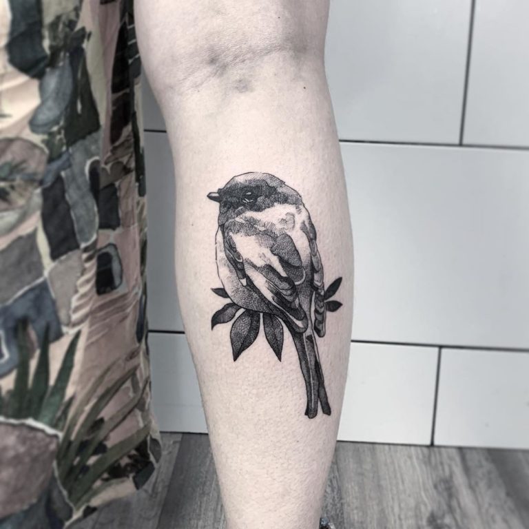 50 Bird Tattoo Ideas to Express Your Freedom