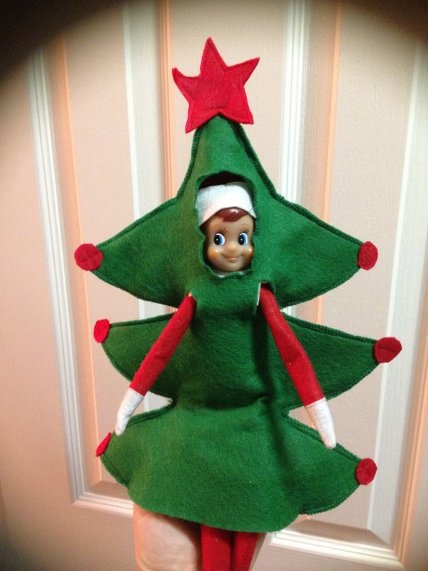 Elf is ready with tree costume.