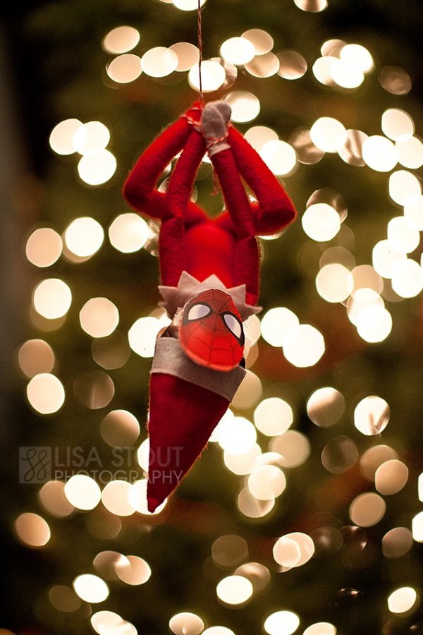 Elf spiderman.