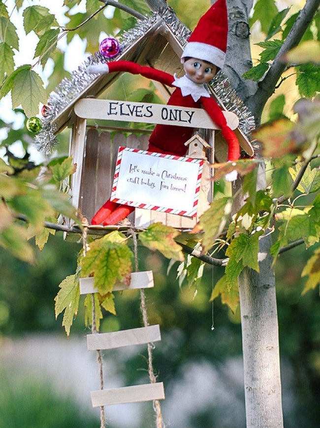 Elf tree house.